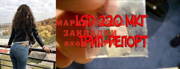 первитин Михайлов