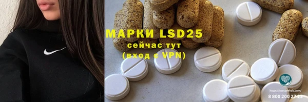 первитин Михайлов