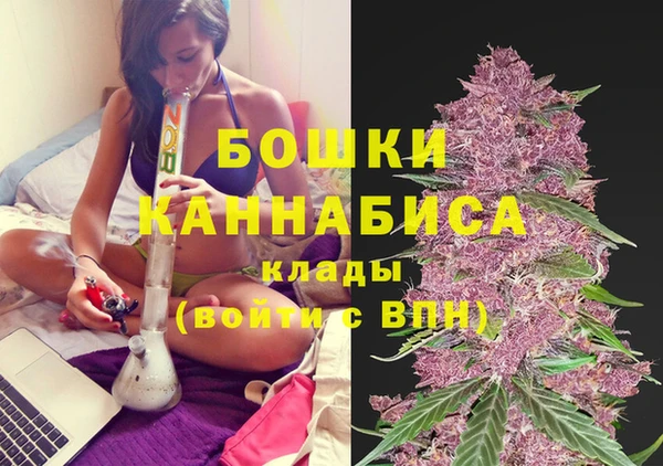 амф Михайловск